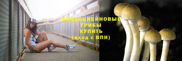 гашиш Коряжма