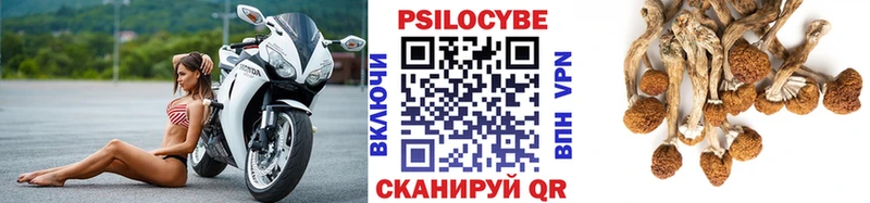 Галлюциногенные грибы Psilocybine cubensis OMG ССЫЛКА Красный Сулин наркота